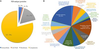 Listeria monocytogenes Biofilm Adaptation to Different Temperatures Seen Through Shotgun Proteomics